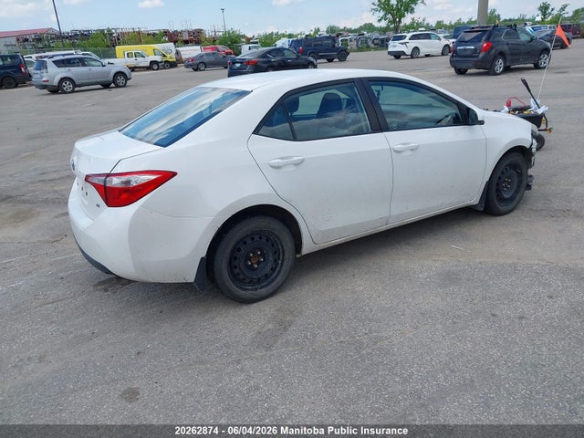 20262874 :رقم المزاد ، 2T1BURHE7EC037769 vin ، 2014 Toyota Corolla Le مزاد بيع