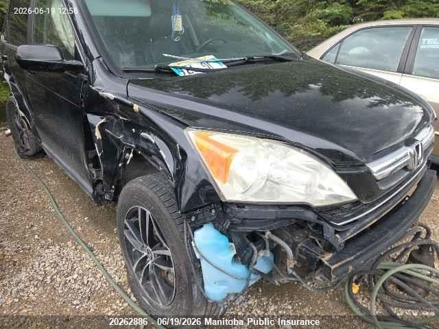 Продаж на аукціоні авто 2009 Honda Cr-v Ex-l, vin: 5J6RE48759L810473, номер лоту: 20262886