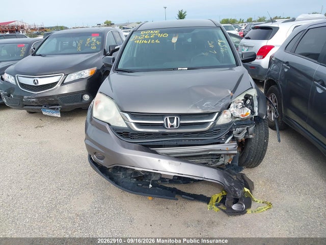 Aukcja sprzedaży 2010 Honda Cr-v Lx, vin: 5J6RE4H36AL807891, numer aukcji: 20262910