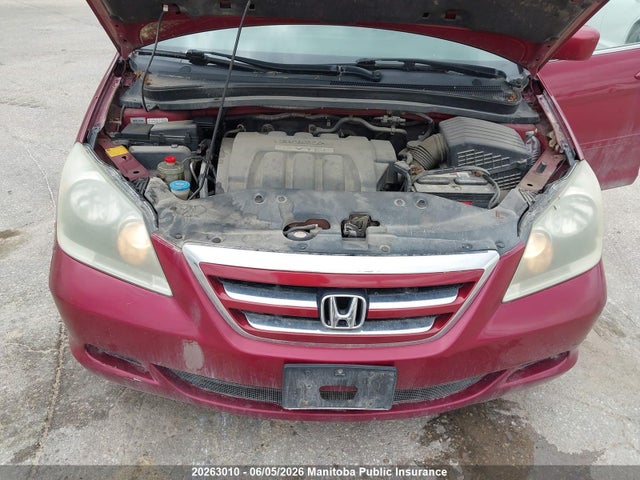 2005 Honda Odyssey Ex მანქანა იყიდება აუქციონზე, vin: 5FNRL38425B507157, აუქციონის ნომერი: 20263010