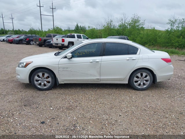 2010 Honda Accord Ex-v6 მანქანა იყიდება აუქციონზე, vin: 5KBCP3F7XAB501707, აუქციონის ნომერი: 20263032