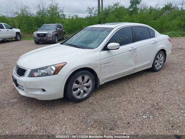 2010 Honda Accord Ex-v6 მანქანა იყიდება აუქციონზე, vin: 5KBCP3F7XAB501707, აუქციონის ნომერი: 20263032
