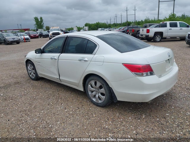 2010 Honda Accord Ex-v6 მანქანა იყიდება აუქციონზე, vin: 5KBCP3F7XAB501707, აუქციონის ნომერი: 20263032