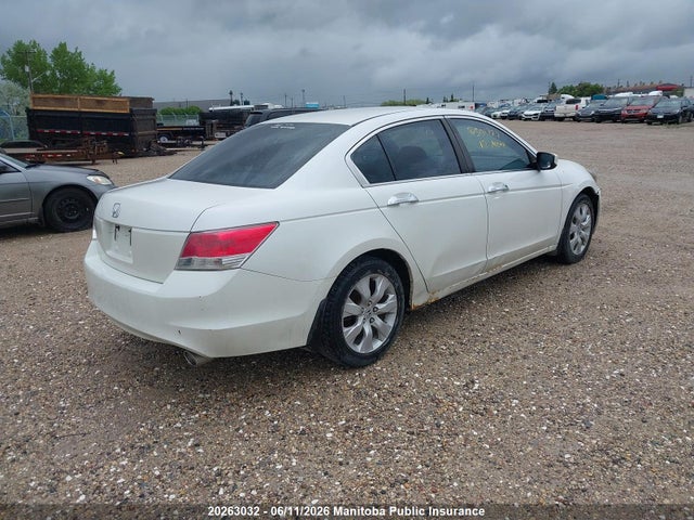 2010 Honda Accord Ex-v6 მანქანა იყიდება აუქციონზე, vin: 5KBCP3F7XAB501707, აუქციონის ნომერი: 20263032