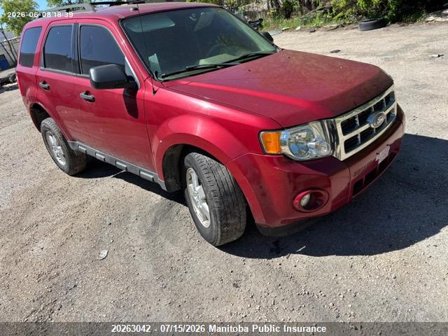 Продаж на аукціоні авто 2011 Ford Escape Xlt, vin: 1FMCU0D71BKA10502, номер лоту: 20263042