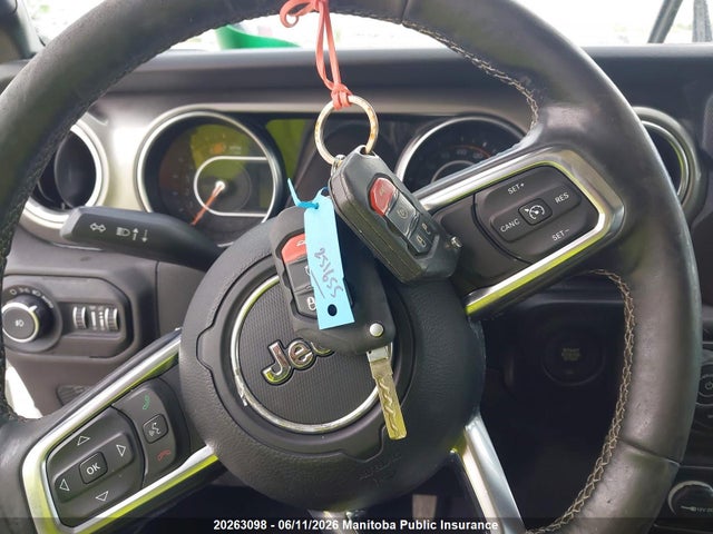 Продаж на аукціоні авто 2019 Jeep Wrangler Unlimited Sahara, vin: 1C4HJXEN2KW687253, номер лоту: 20263098