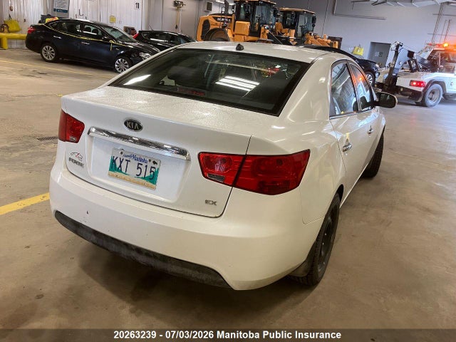 Продаж на аукціоні авто 2011 Kia Forte Ex, vin: KNAFU4A29B5372512, номер лоту: 20263239