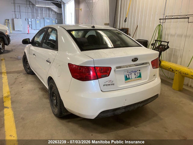 Продаж на аукціоні авто 2011 Kia Forte Ex, vin: KNAFU4A29B5372512, номер лоту: 20263239