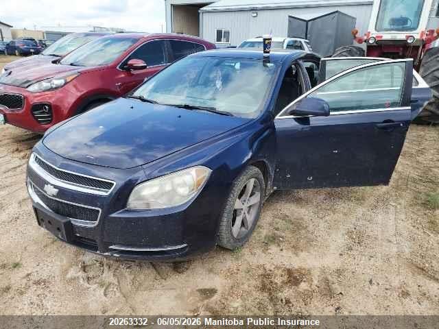 2009 Chevrolet Malibu Lt მანქანა იყიდება აუქციონზე, vin: 1G1ZH57B89F180223, აუქციონის ნომერი: 20263332