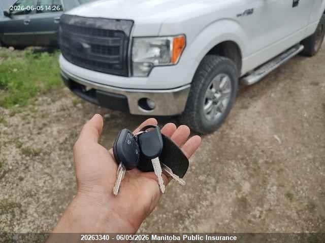 Продаж на аукціоні авто 2013 Ford F150 Xlt Supercab, vin: 1FTFX1EF0DFC00999, номер лоту: 20263340