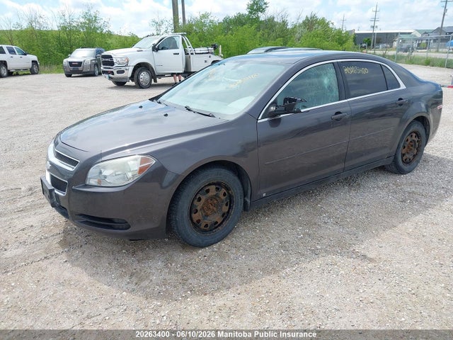 2011 Chevrolet Malibu მანქანა იყიდება აუქციონზე, vin: 1G1ZB5EU9BF251831, აუქციონის ნომერი: 20263400