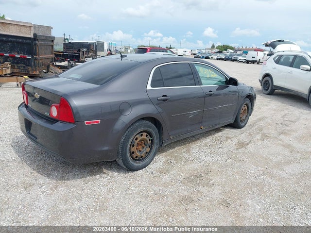 2011 Chevrolet Malibu მანქანა იყიდება აუქციონზე, vin: 1G1ZB5EU9BF251831, აუქციონის ნომერი: 20263400