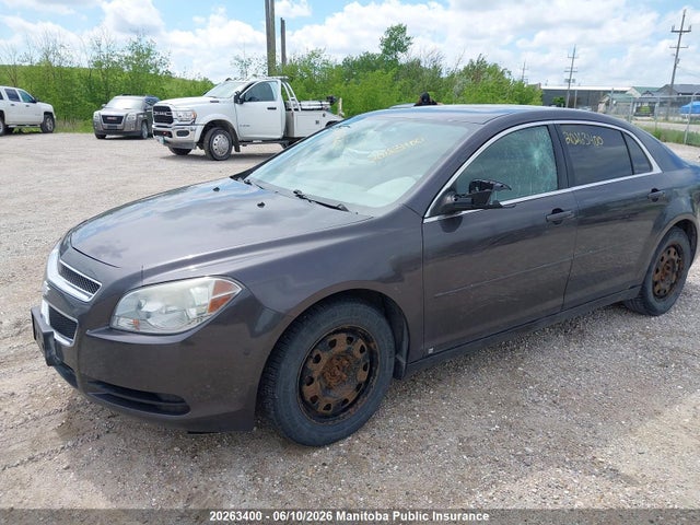 2011 Chevrolet Malibu მანქანა იყიდება აუქციონზე, vin: 1G1ZB5EU9BF251831, აუქციონის ნომერი: 20263400