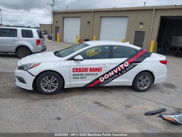 5NPE24AF9GH281559 Hyundai SONATA GL