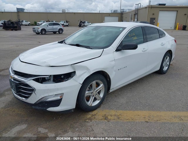 Продаж на аукціоні авто 2023 Chevrolet Malibu Ls, vin: 1G1ZB5ST3PF116167, номер лоту: 20263606