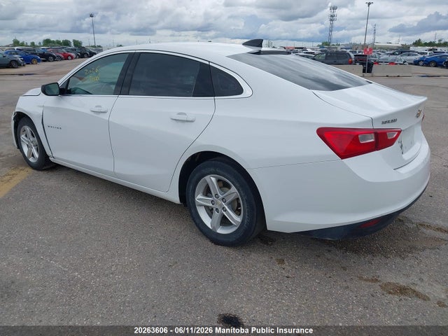 Продаж на аукціоні авто 2023 Chevrolet Malibu Ls, vin: 1G1ZB5ST3PF116167, номер лоту: 20263606