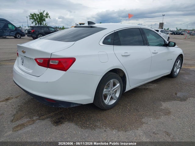 Продаж на аукціоні авто 2023 Chevrolet Malibu Ls, vin: 1G1ZB5ST3PF116167, номер лоту: 20263606