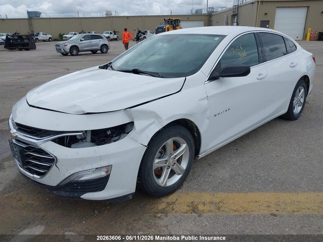 Продаж на аукціоні авто 2023 Chevrolet Malibu Ls, vin: 1G1ZB5ST3PF116167, номер лоту: 20263606