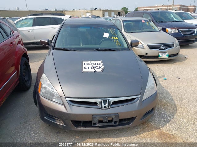 2006 Honda Accord Ex-l მანქანა იყიდება აუქციონზე, vin: 1HGCM55816A800095, აუქციონის ნომერი: 20263771
