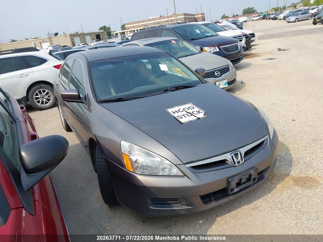 2006 Honda Accord Ex-l მანქანა იყიდება აუქციონზე, vin: 1HGCM55816A800095, აუქციონის ნომერი: 20263771