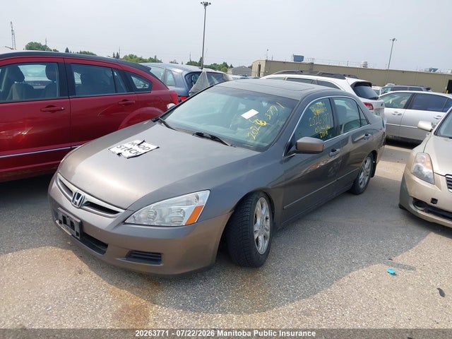 2006 Honda Accord Ex-l მანქანა იყიდება აუქციონზე, vin: 1HGCM55816A800095, აუქციონის ნომერი: 20263771