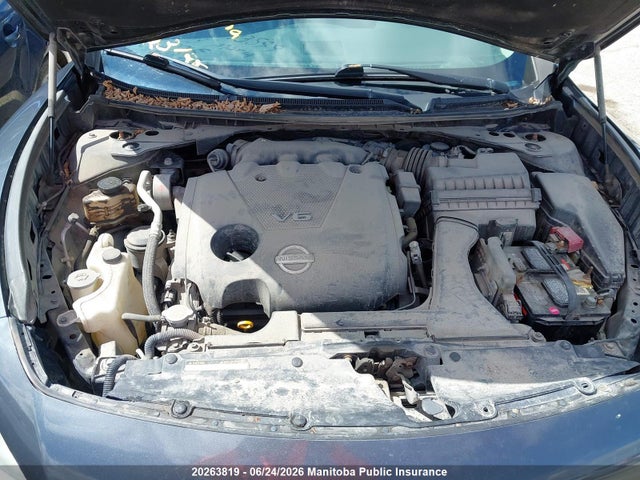 20263819 :رقم المزاد ، 1N4AA5APXDC833549 vin ، 2013 Nissan Maxima 3.5 Sv مزاد بيع