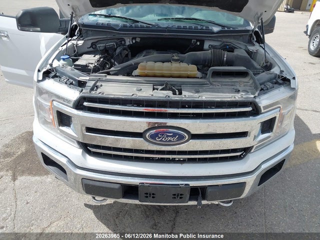 Ford F150 Xlt Supercrew 2019 1FTEW1E45KKE71347 Image 8
