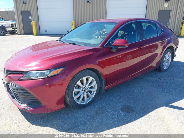 2019 Toyota Camry Le მანქანა იყიდება აუქციონზე, vin: 4T1B11HK5KU765665, აუქციონის ნომერი: 20264216