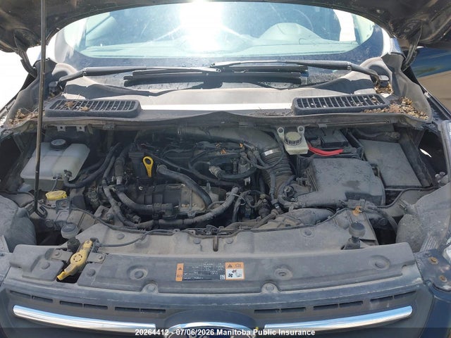 Продаж на аукціоні авто 2014 Ford Escape Se, vin: 1FMCU9GX8EUA80037, номер лоту: 20264412