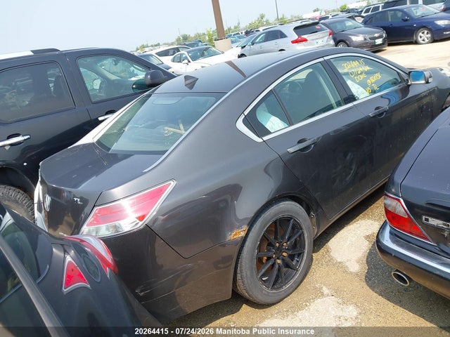 Продажа на аукционе авто 2010 Acura Tl, vin: 19UUA9F27AA800156, номер лота: 20264415