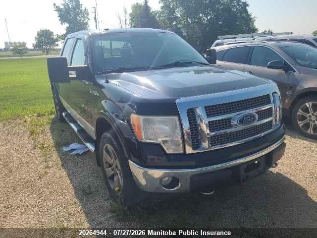 Aukcja sprzedaży 2009 Ford F-series, vin: 1FTPW14V69FA43731, numer aukcji: 20264944