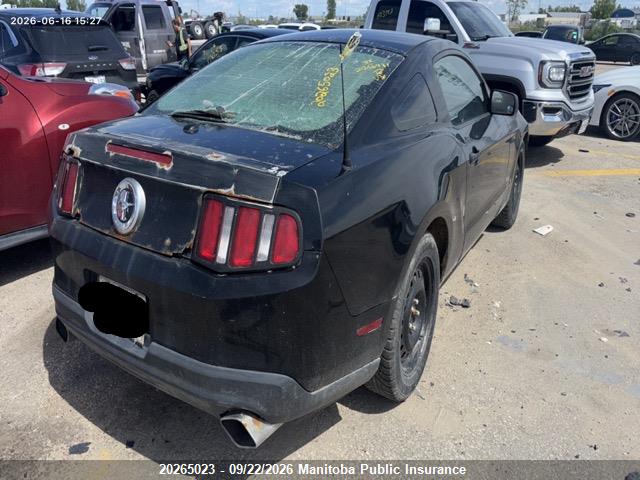 Aukcja sprzedaży 2011 Ford Mustang, vin: 1ZVBP8AM9B5104963, numer aukcji: 20265023