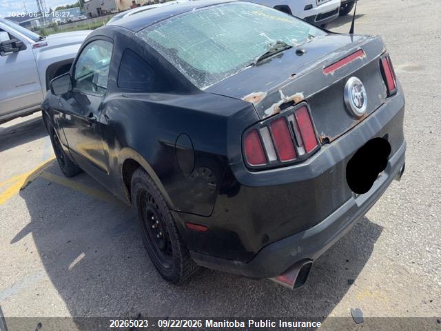 Aukcja sprzedaży 2011 Ford Mustang, vin: 1ZVBP8AM9B5104963, numer aukcji: 20265023