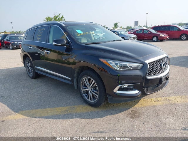 Auction sale of the 2020 Infiniti Qx60 Essential, vin: 5N1DL0MM0LC529162, lot number: 20265028