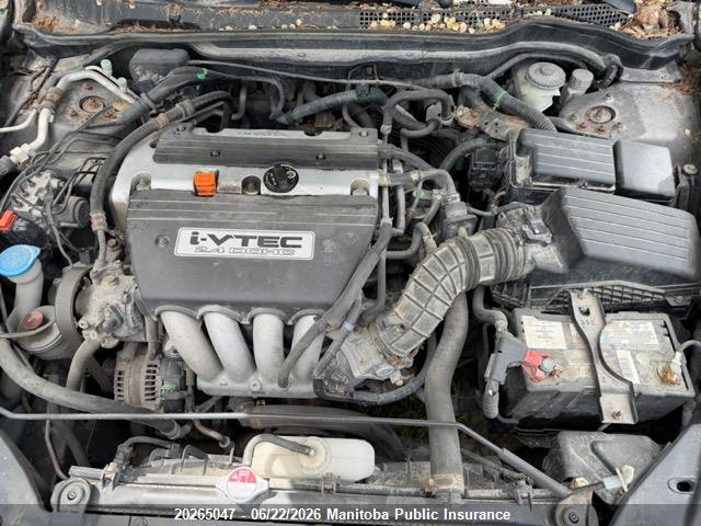 Aukcja sprzedaży 2007 Honda Accord Ex-l, vin: 1HGCM55717A803359, numer aukcji: 20265047