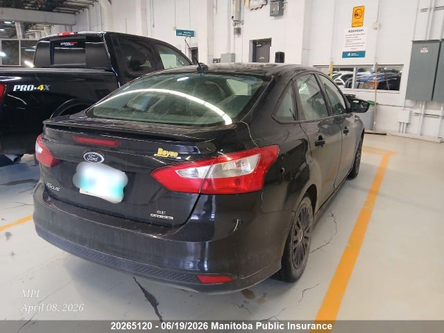 1FADP3F26EL376981 Ford FOCUS SE