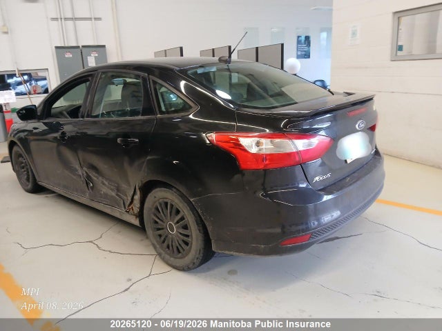 1FADP3F26EL376981 Ford FOCUS SE