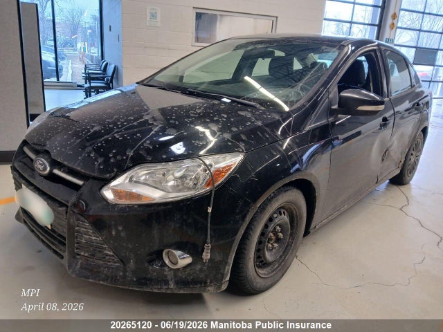 1FADP3F26EL376981 Ford FOCUS SE