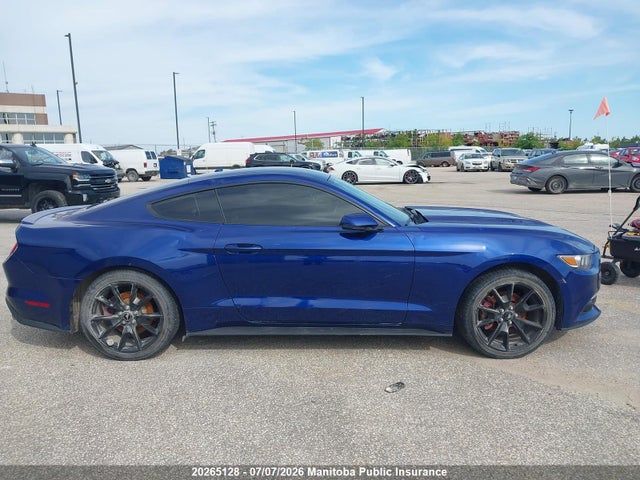 Ford Mustang 2015 1FA6P8TH5F5300088 Image 13