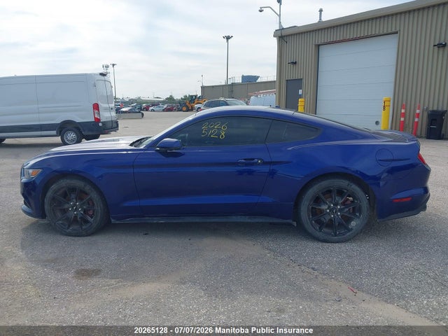 Ford Mustang 2015 1FA6P8TH5F5300088 Image 14