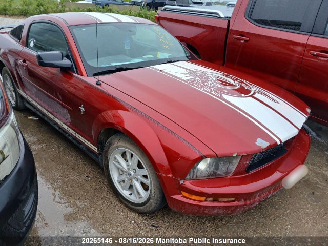 Продаж на аукціоні авто 2005 Ford Mustang, vin: 1ZVFT80N155114494, номер лоту: 20265146