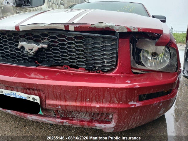 Продаж на аукціоні авто 2005 Ford Mustang, vin: 1ZVFT80N155114494, номер лоту: 20265146