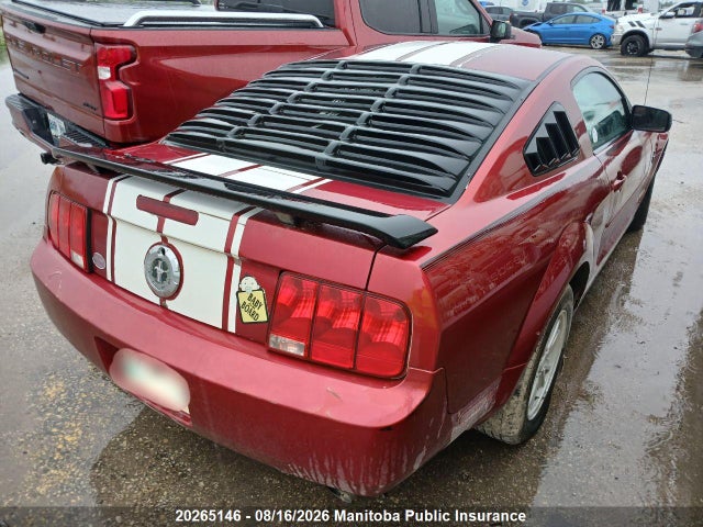 Продаж на аукціоні авто 2005 Ford Mustang, vin: 1ZVFT80N155114494, номер лоту: 20265146