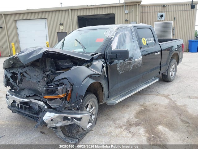 2024 Ford F150 Xlt Supercrew მანქანა იყიდება აუქციონზე, vin: 1FTFW3L80RKE41026, აუქციონის ნომერი: 20265160