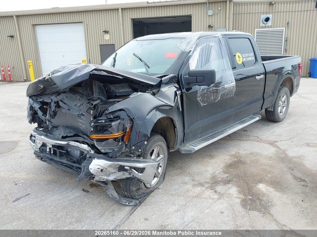 2024 Ford F150 Xlt Supercrew მანქანა იყიდება აუქციონზე, vin: 1FTFW3L80RKE41026, აუქციონის ნომერი: 20265160