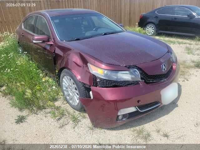 2013 Acura Tl მანქანა იყიდება აუქციონზე, vin: 19UUA8F54DA800530, აუქციონის ნომერი: 20265238