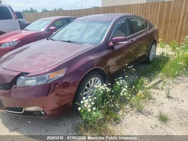 20265238 :رقم المزاد ، 19UUA8F54DA800530 vin ، 2013 Acura Tl مزاد بيع