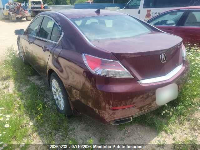 20265238 :رقم المزاد ، 19UUA8F54DA800530 vin ، 2013 Acura Tl مزاد بيع