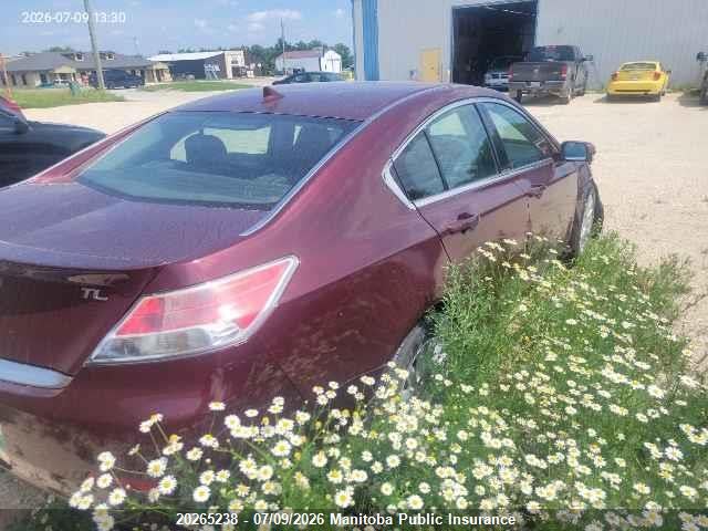 20265238 :رقم المزاد ، 19UUA8F54DA800530 vin ، 2013 Acura Tl مزاد بيع