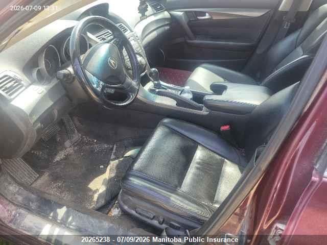 20265238 :رقم المزاد ، 19UUA8F54DA800530 vin ، 2013 Acura Tl مزاد بيع